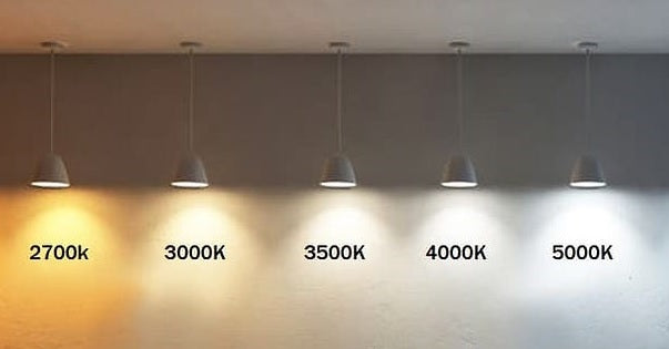 Dynamic receiver 120W DALI 2x4-way